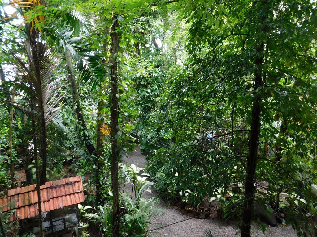 Green Woods Bethlehem Коччи Экстерьер фото