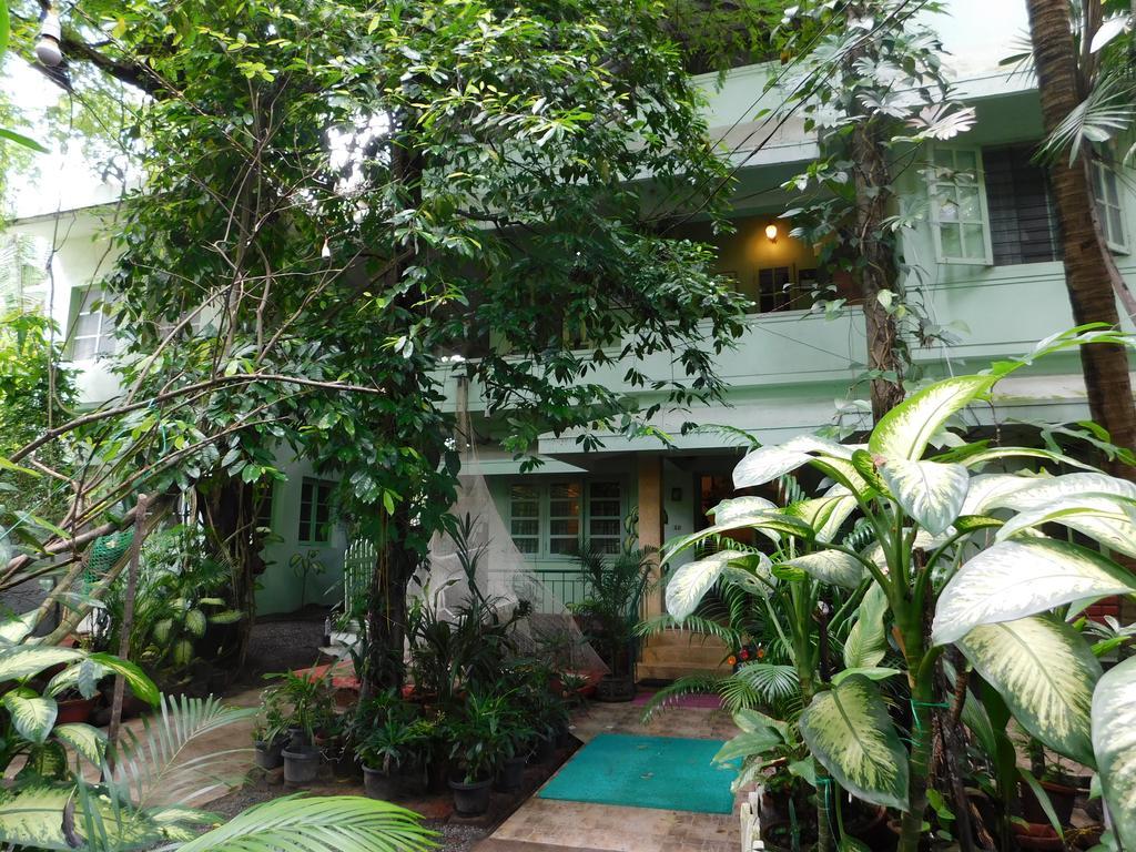 Green Woods Bethlehem Коччи Экстерьер фото
